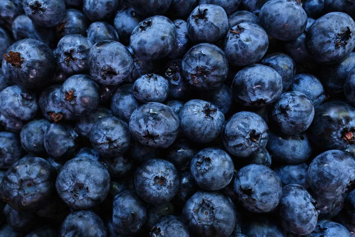 Blueberries
