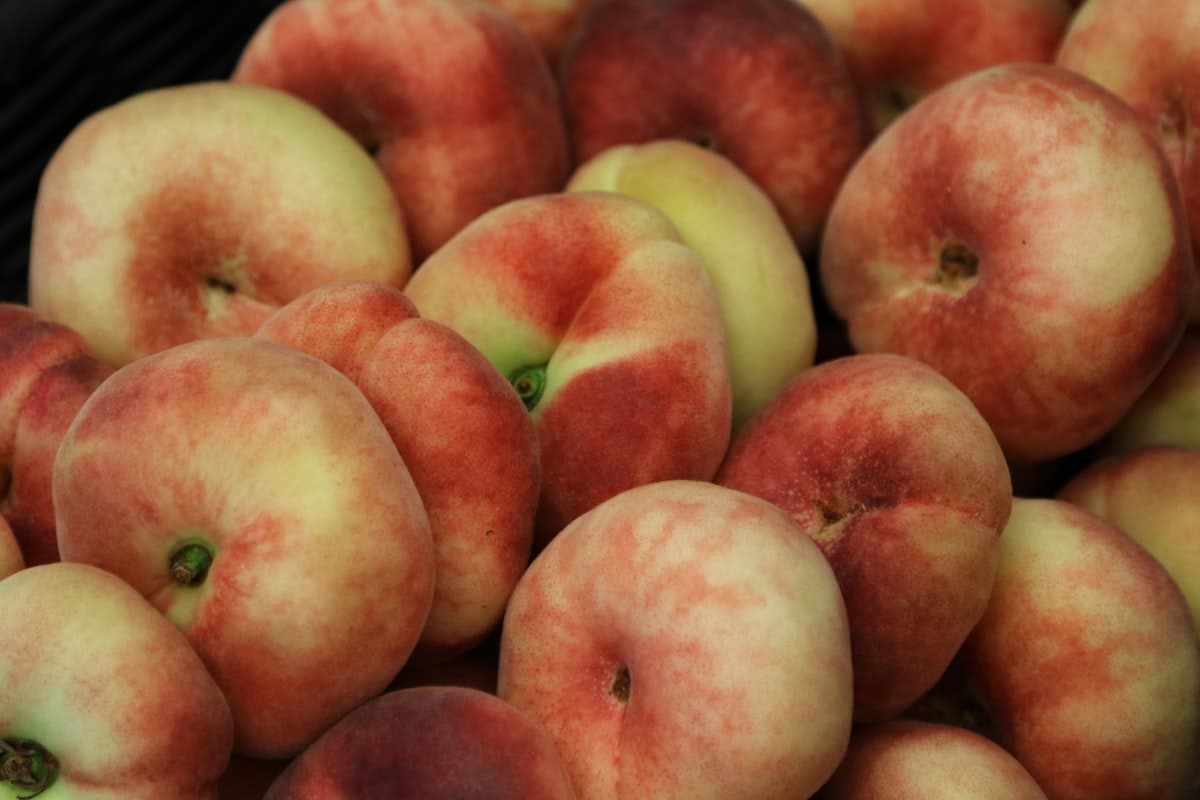 Donut Peaches
