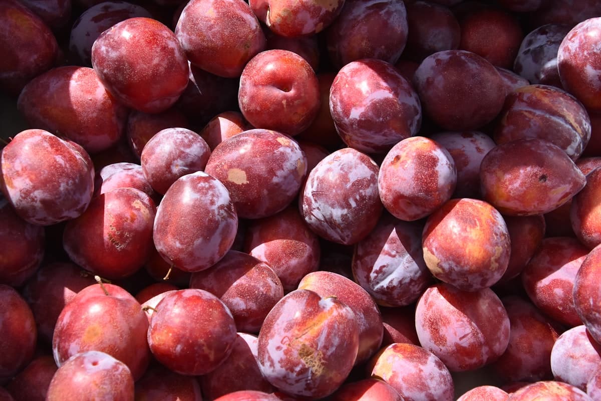 Plums